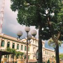 J3355 | 다낭 8인 가족여행 준비(스냅사진, 렌트카, 준비물, 여행자보험)