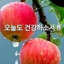 행복한아침 이미지