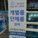청기와 매운탕 | [인천 대방어 방어 방어철 맛집 추천] 청기와횟집 신선한 해산물의 맛집