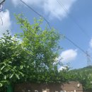 생활도예(야간) 이미지