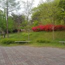 을미기식당 이미지