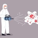 김포메추리농장 이미지