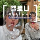 (주)바인스 | 와인과 음식의 완벽한 조화, 올드바인스 레스토랑 퀼스게이트와이너리 솔직 리뷰