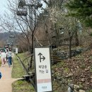 예약 힘든 화담숲_벚꽃 개화상황 (+뉴오픈 화담채) 다녀온 후기