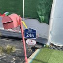 미주농장 | 경남 함안 딸기체험 다양한 놀거리가 가득해서 즐거웠던 미주딸기농장 내돈내산 솔직후기