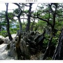 8월 5일 제81회 충북 괴산 군자산(948M) 산행대회 이미지