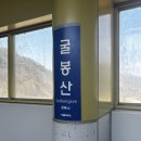 pet53러1658 | 춘천 펫바이크도 접수 완료 🕶️🪄