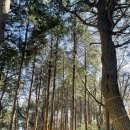 천마산10리길 | 부산 등산 초보 코스 아이랑 즐기는 천마산 조각 공원 전망대