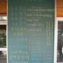 들꽃이 있는집 네이버블로그