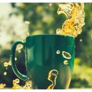 야옹하다 이미지