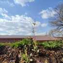 제비농장 이미지