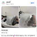 경기도 수원시 영통구 권광로276번길 | 매탄위브하늘채 근처에서 예쁜 레이어드컷 잘하는 미용실 찾는다면?