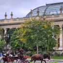 빅마마한식 | [파리 일상 블로그] 중밥마 ( 중요한 것은 밥을 먹는 마음) -먹는 얘기만 있음 주의