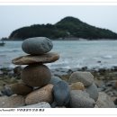 자연농원 티스토리