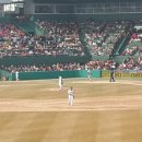 한밭야구장 이미지