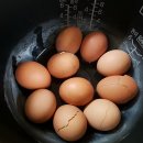 구운 계란 만들기 이미지
