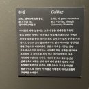 덕수궁 | 국립현대미술관 덕수궁 후기