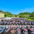 금봉산 농장 이미지