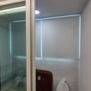 금산느티나무 이미지