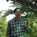 고령초등학교 이미지