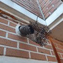 서운면 서운경로당 이미지