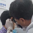 뉴톤보청기 제주지사 이미지