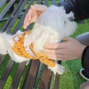 솔마루민박 이미지