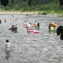 반딧불이 캠핑장 이미지