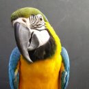 (유)금강대형 이미지