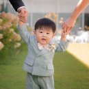 돌이가든 이미지