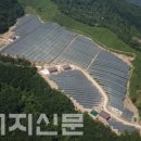 태양산림 이미지