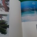 경북 우수작가 초대전 이미지