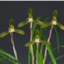 대건메디칼 이미지