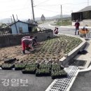 개곡1리 이미지