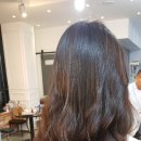 스펠라헤어메디컬 이미지