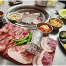 빽고기 이미지