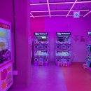 뽑기도전 | 무제한 인형뽑기 부산 5분에 6,500원! 똥손 탈출 후기 (피피피 펫스테이션점 주차, 가격, 꿀팁)
