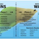 새건강약국 이미지