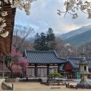 화엄사1로 이미지