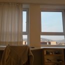 카인드독 | 인천에서 독일까지 / 뷔르츠부르크 입독 및 1주차 (3/5-3/9)