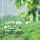 참자연한방병원 이미지