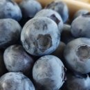 김호중농장 이미지