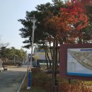 관문체육공원 이미지