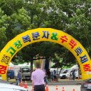 고창복분자 | 2026 고창 복분자 수박축제 방문 후기