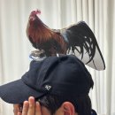 호떡과사랑은뜨겁게 | 호떡과 사랑은 뜨겁게