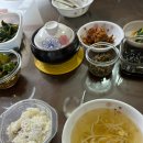 본우리집밥 코스트코평택디포점 | [250509 서울 당일치기 +우연히 웨스엔더슨 전시 + DAY6 데이식스 포에버영 첫첫콘 콘서트까지]