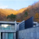 빌라 퍼즈 이미지