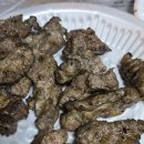 어달OTP펜션 이미지