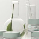 와이비케이 이미지