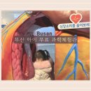 교육원 | 부산광역시교육청창의융합교육원 후기｜아이들 무료 과학체험 실내 놀이터